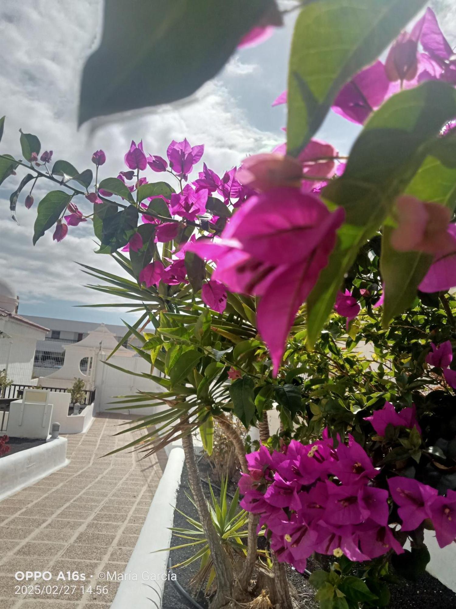 Playa Feñabe Penthouse Sea View Jacuzzy Terrace & Pool 아파트 외부 사진